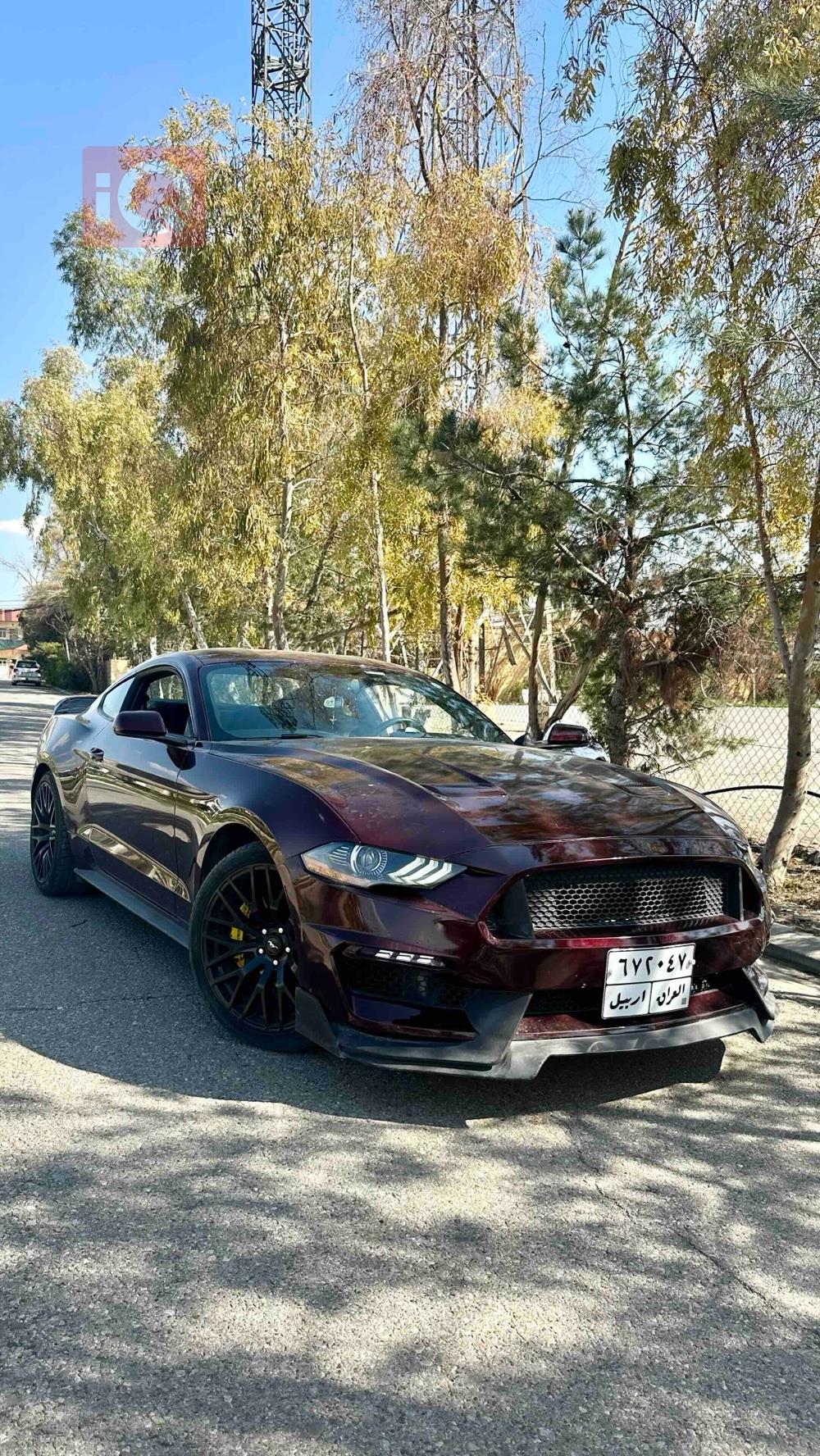 Ford Mustang